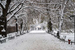 umk_5498.jpg-Zima w Krakowie