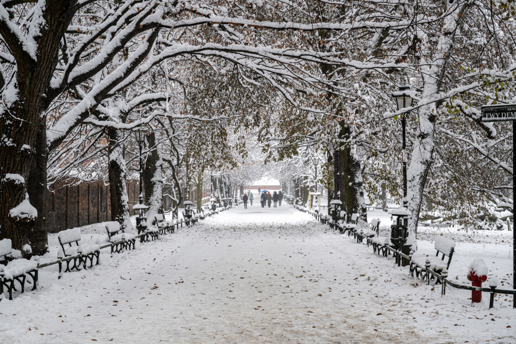 umk_5498.jpg-Zima w Krakowie  Autor: P. Wojnarowski