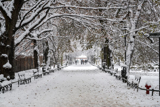 umk_5498.jpg-Zima w Krakowie