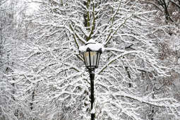 umk_5687.jpg-Zima w Krakowie