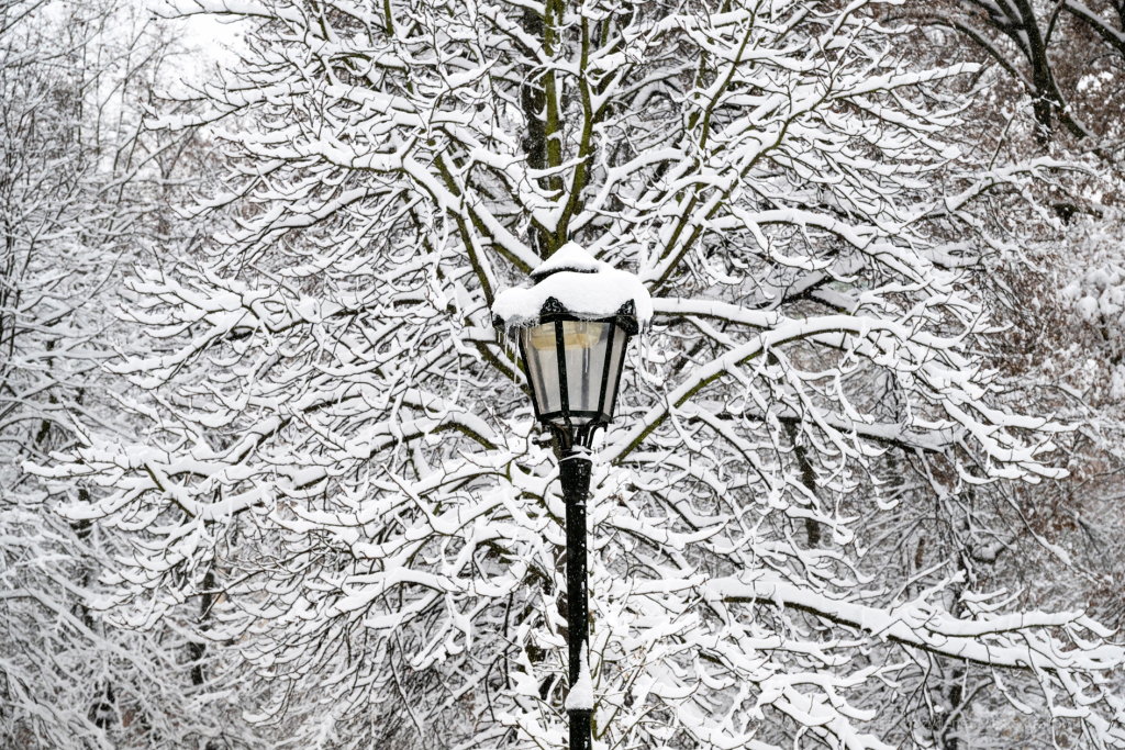 umk_5687.jpg-Zima w Krakowie  Autor: P. Wojnarowski