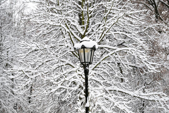 umk_5687.jpg-Zima w Krakowie