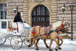 umk_5723.jpg-Zima w Krakowie