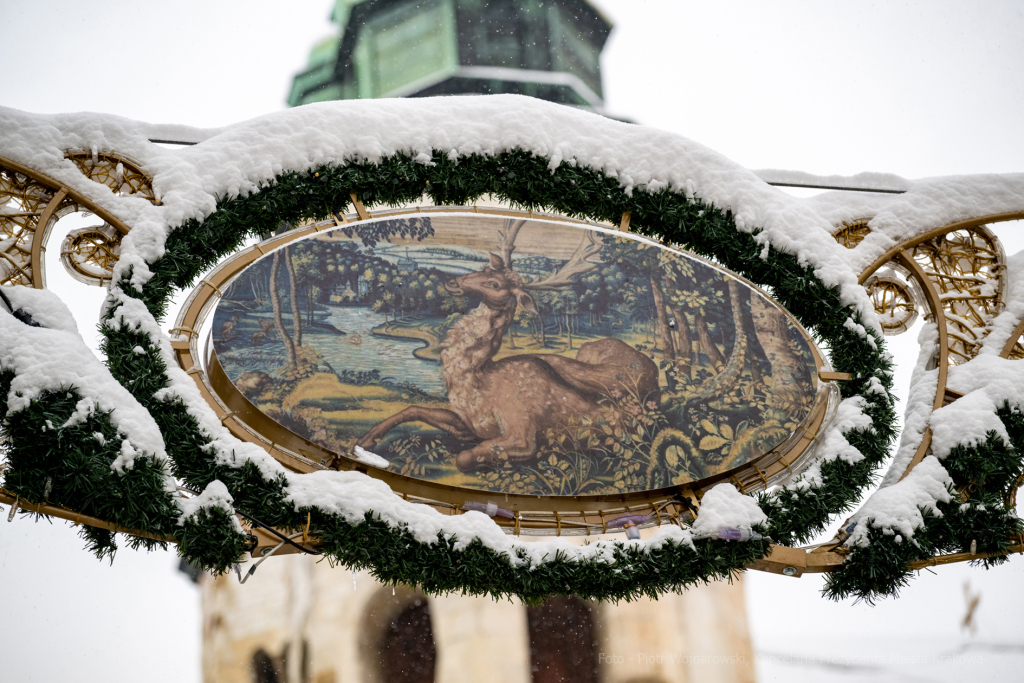 umk_5728.jpg-Zima w Krakowie  Autor: P. Wojnarowski