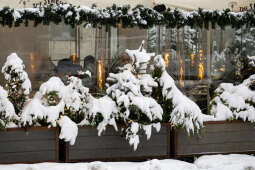 umk_5749.jpg-Zima w Krakowie