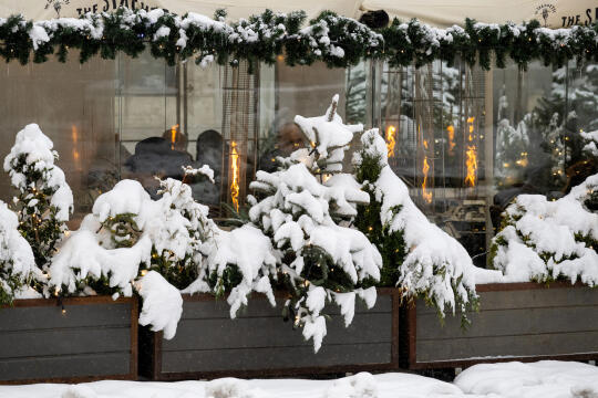 umk_5749.jpg-Zima w Krakowie