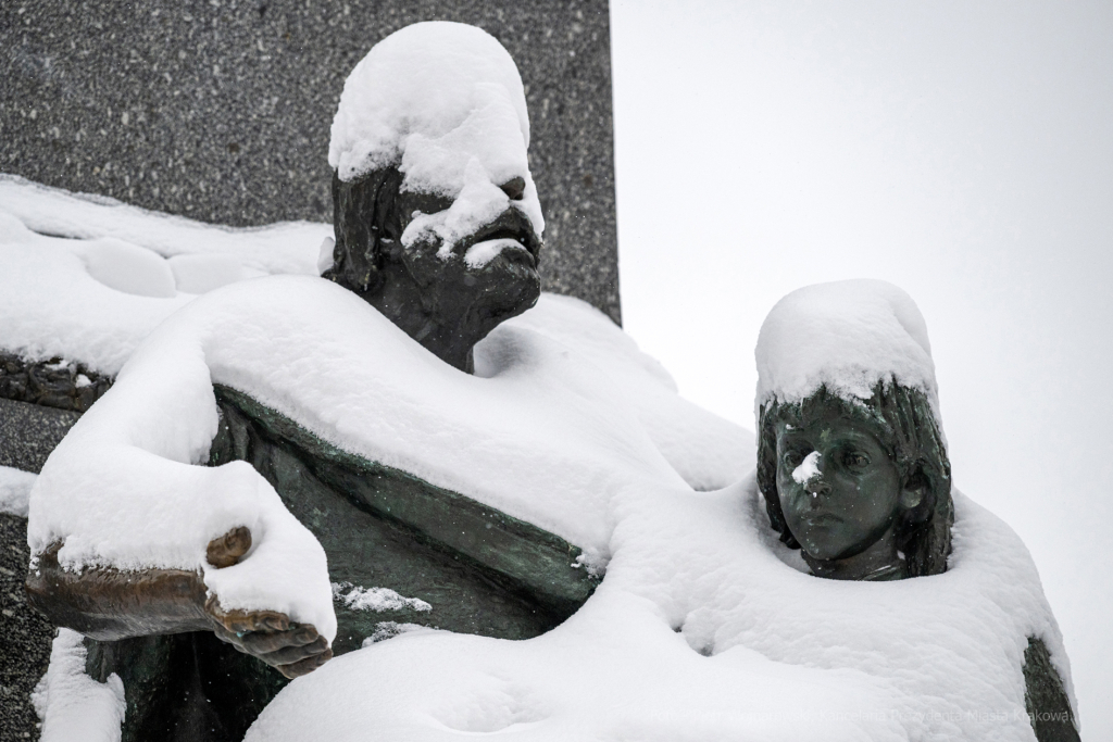 umk_5753.jpg-Zima w Krakowie  Autor: P. Wojnarowski