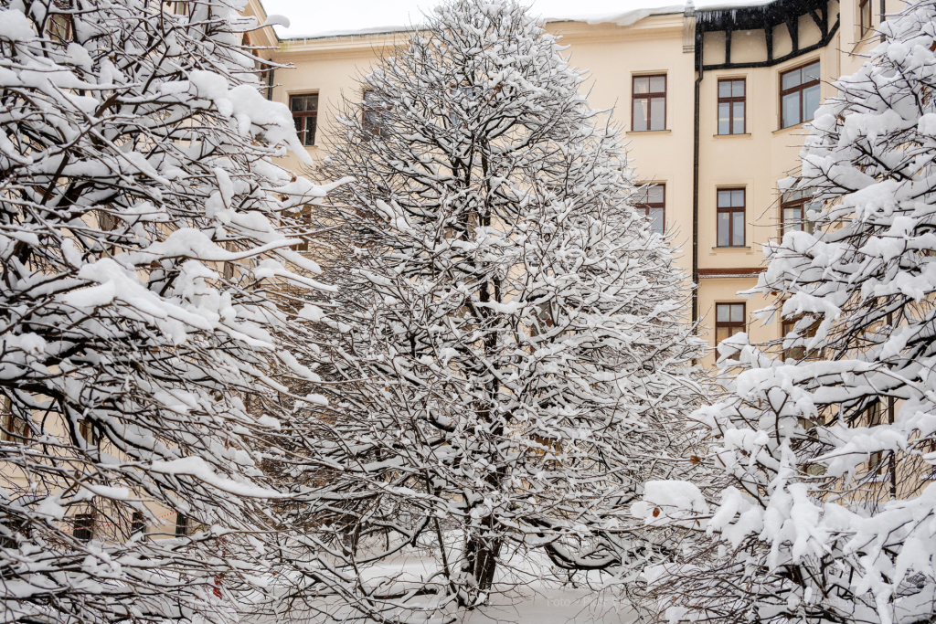 umk_5766.jpg-Zima w Krakowie  Autor: P. Wojnarowski