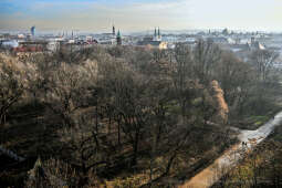 umk_4069.jpg-Park, Jalu Kurek, Kurka, Szlak, centrum, styczeń, 2023, zieleń