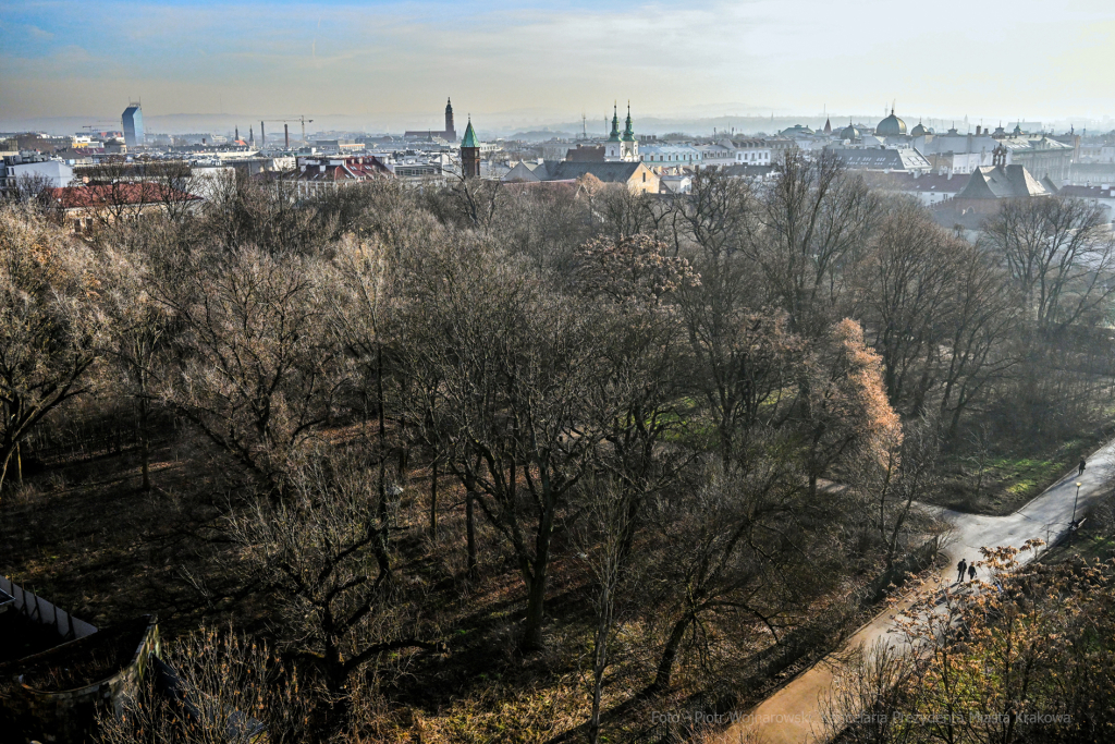 umk_4069.jpg-Park, Jalu Kurek, Kurka, Szlak, centrum, styczeń, 2023, zieleń  Autor: P. Wojnarowski