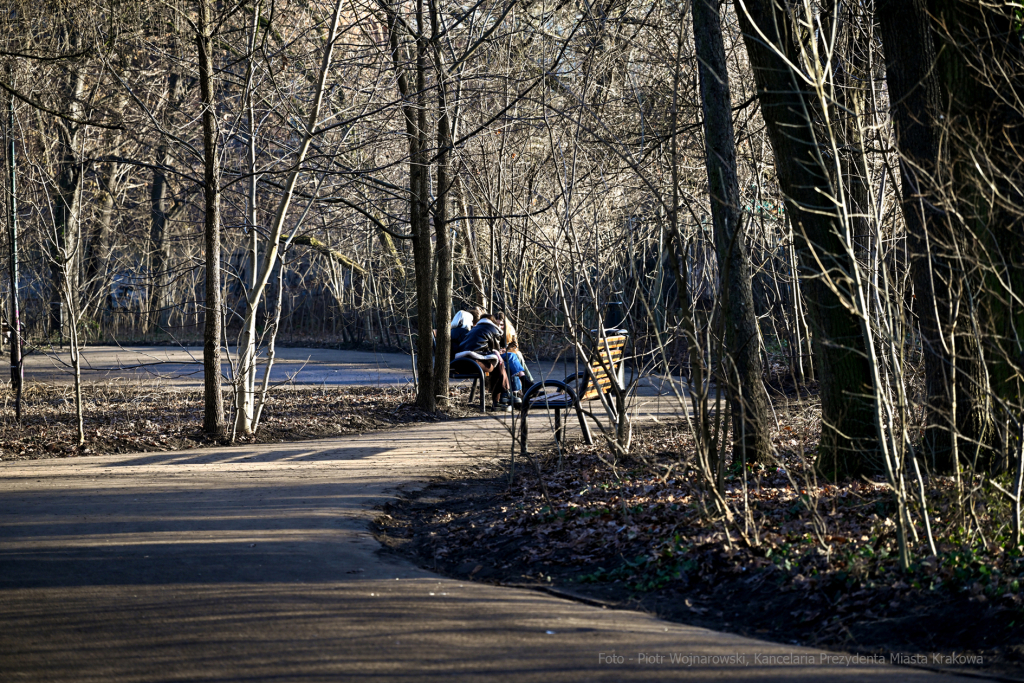 umk_4089.jpg-Park, Jalu Kurek, Kurka, Szlak, centrum, styczeń, 2023, zieleń  Autor: P. Wojnarowski