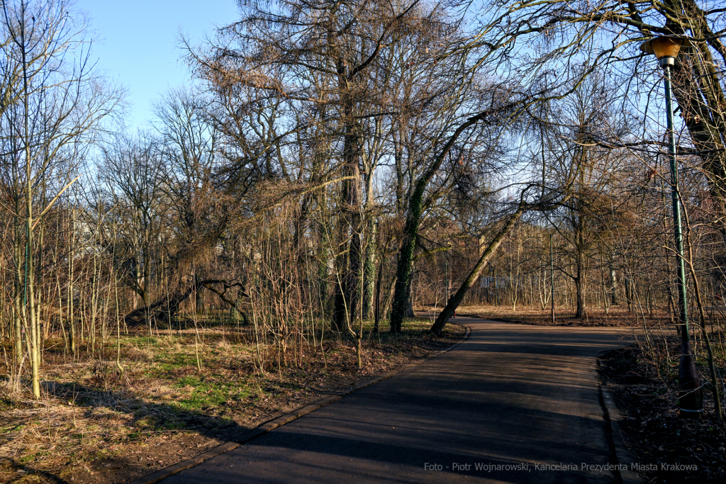 umk_4091.jpg-Park, Jalu Kurek, Kurka, Szlak, centrum, styczeń, 2023, zieleń  Autor: P. Wojnarowski