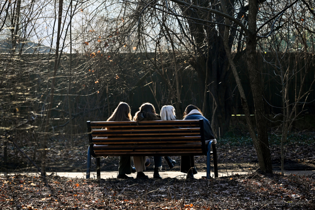 umk_4103.jpg-Park, Jalu Kurek, Kurka, Szlak, centrum, styczeń, 2023, zieleń  Autor: P. Wojnarowski