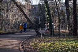 umk_4105.jpg-Park, Jalu Kurek, Kurka, Szlak, centrum, styczeń, 2023, zieleń