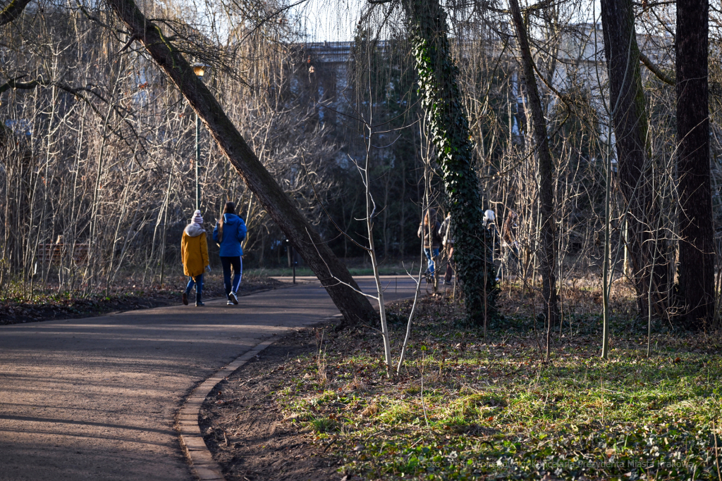 umk_4105.jpg-Park, Jalu Kurek, Kurka, Szlak, centrum, styczeń, 2023, zieleń  Autor: P. Wojnarowski