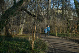 umk_4113.jpg-Park, Jalu Kurek, Kurka, Szlak, centrum, styczeń, 2023, zieleń