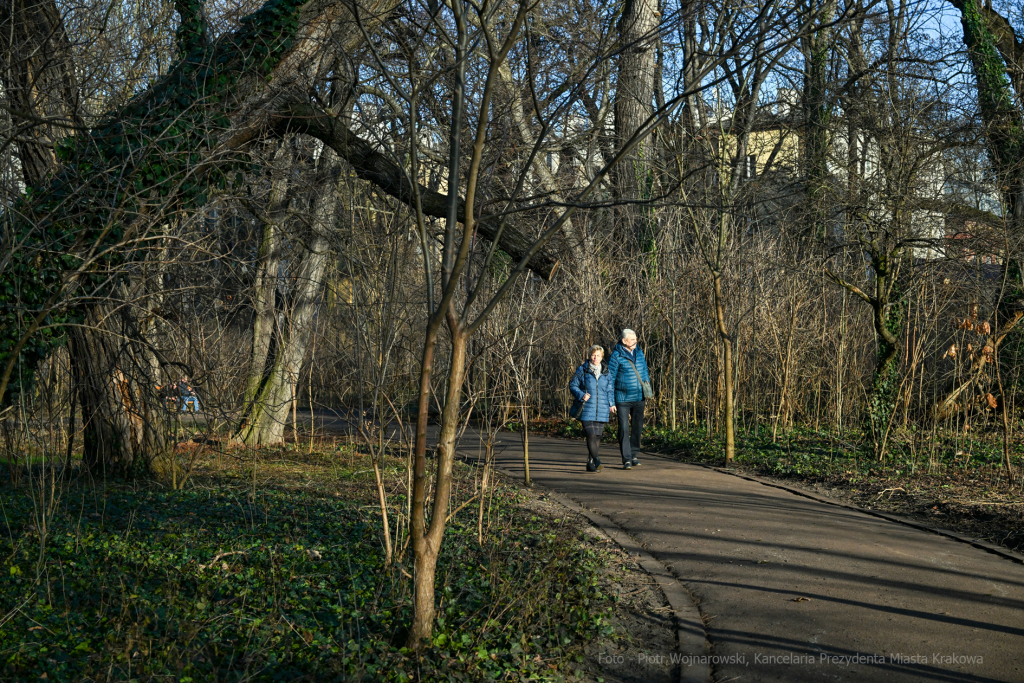 umk_4113.jpg-Park, Jalu Kurek, Kurka, Szlak, centrum, styczeń, 2023, zieleń  Autor: P. Wojnarowski