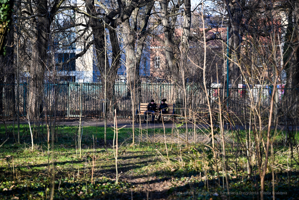 umk_4125.jpg-Park, Jalu Kurek, Kurka, Szlak, centrum, styczeń, 2023, zieleń  Autor: P. Wojnarowski