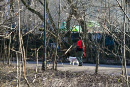 umk_4133.jpg-Park, Jalu Kurek, Kurka, Szlak, centrum, styczeń, 2023, zieleń