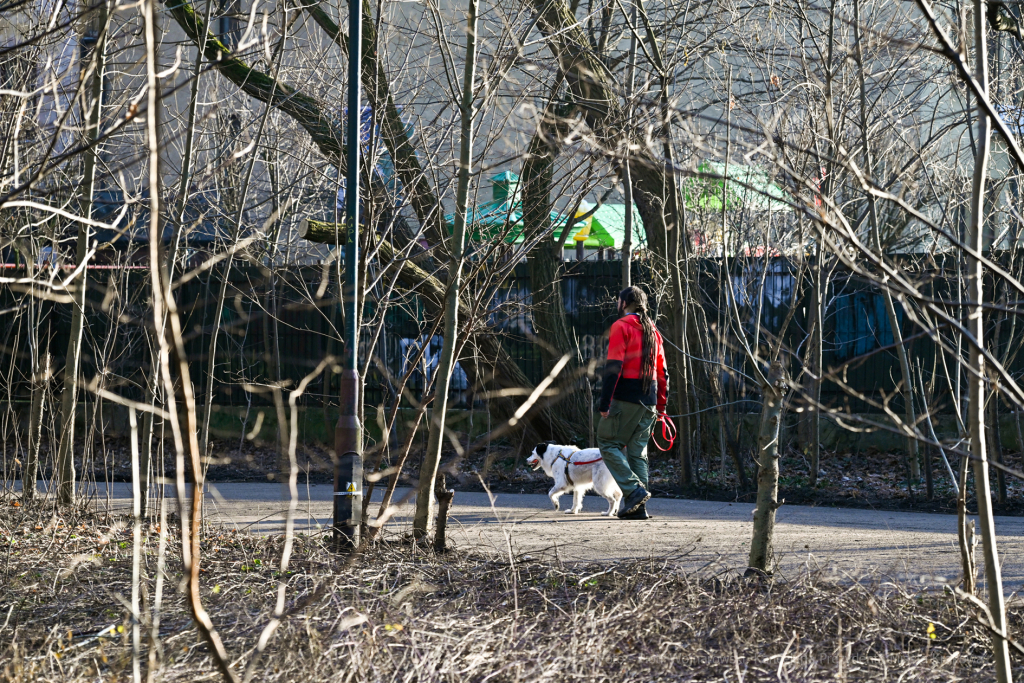 umk_4133.jpg-Park, Jalu Kurek, Kurka, Szlak, centrum, styczeń, 2023, zieleń  Autor: P. Wojnarowski