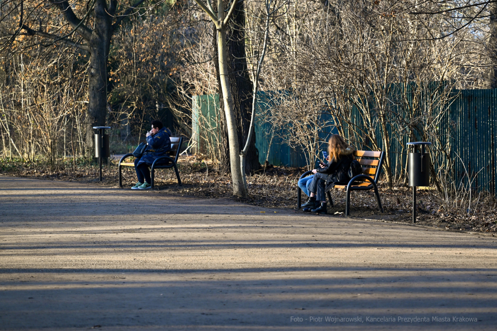 umk_4141.jpg-Park, Jalu Kurek, Kurka, Szlak, centrum, styczeń, 2023, zieleń  Autor: P. Wojnarowski