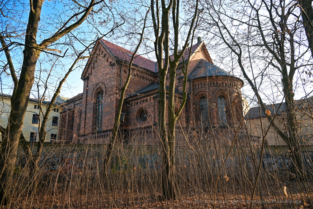 umk_4156.jpg-Park, Jalu Kurek, Kurka, Szlak, centrum, styczeń, 2023, zieleń  Autor: P. Wojnarowski