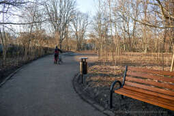 umk_4161.jpg-Park, Jalu Kurek, Kurka, Szlak, centrum, styczeń, 2023, zieleń