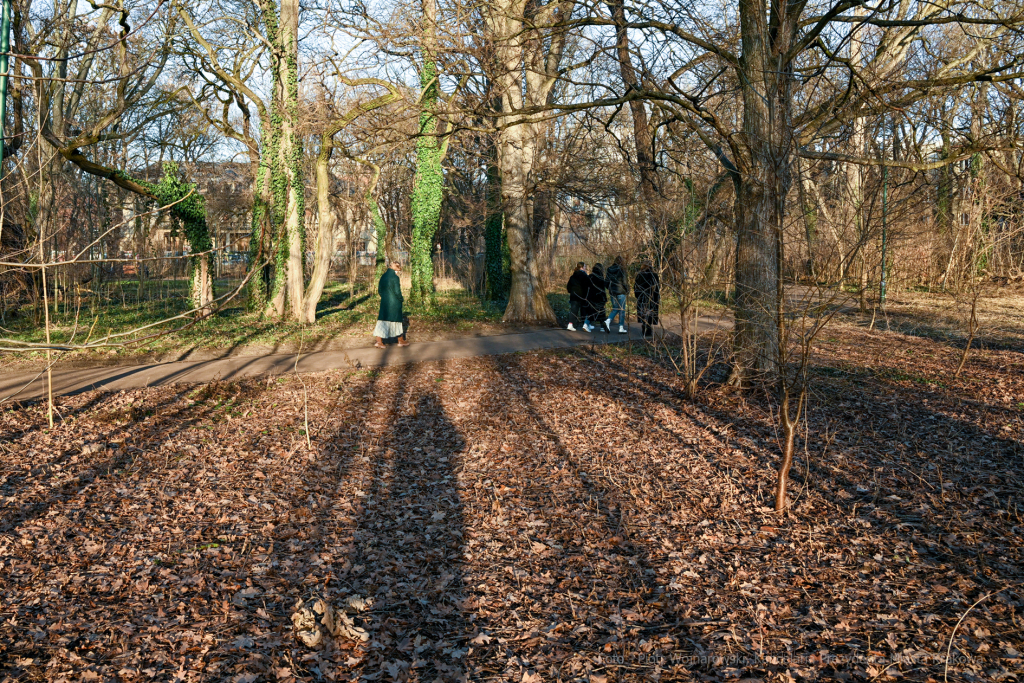 umk_4179.jpg-Park, Jalu Kurek, Kurka, Szlak, centrum, styczeń, 2023, zieleń  Autor: P. Wojnarowski