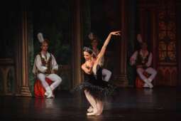Logo: Royal Ukrainian Ballet: Jezioro łabędzie