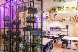 Otwarcie, Centrum, Edukacji, Klimatycznej, Całus, Majchrowski, Wielopole, Kraków, 2023