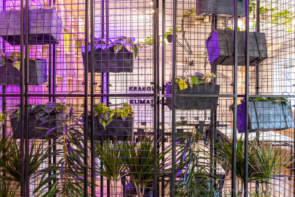 Otwarcie, Centrum, Edukacji, Klimatycznej, Całus, Majchrowski, Wielopole, Kraków, 2023  Autor: P. Wojnarowski