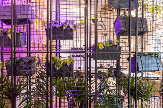 Otwarcie, Centrum, Edukacji, Klimatycznej, Całus, Majchrowski, Wielopole, Kraków, 2023