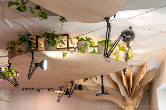 Otwarcie, Centrum, Edukacji, Klimatycznej, Całus, Majchrowski, Wielopole, Kraków, 2023