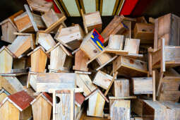 umk_0927.jpg-MPO, Asocjacja, Promotorów, Radosnego, Ptaka, budki, karmniki, akcja Kraków, 2023