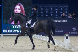 bs_230305_8143.jpg-Cavaliada 2023, Tauron Arena, Majchrowski