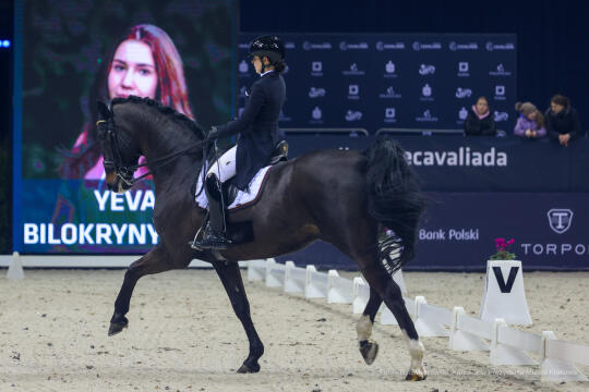 bs_230305_8143.jpg-Cavaliada 2023, Tauron Arena, Majchrowski