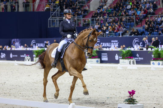 bs_230305_8183.jpg-Cavaliada 2023, Tauron Arena, Majchrowski