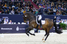 bs_230305_8219.jpg-Cavaliada 2023, Tauron Arena, Majchrowski