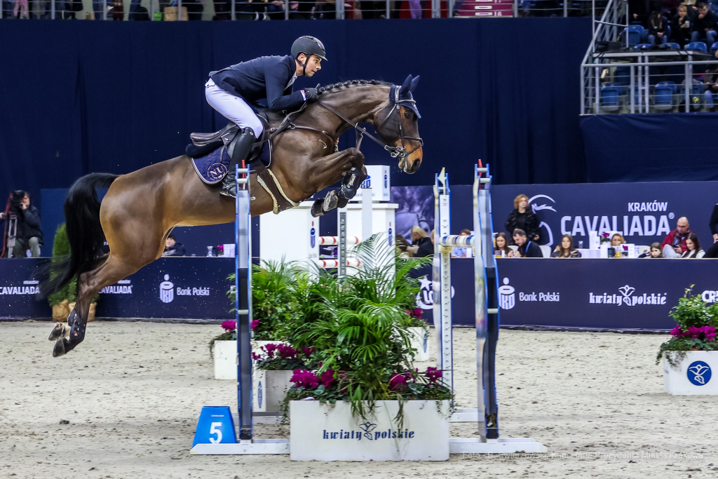 bs_230305_8368.jpg-Cavaliada 2023, Tauron Arena, Majchrowski  Autor: B. Świerzowski