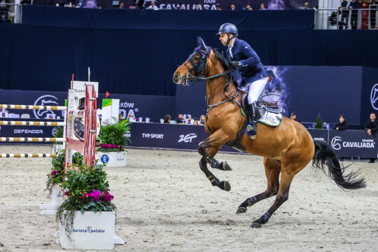 bs_230305_8495.jpg-Cavaliada 2023, Tauron Arena, Majchrowski