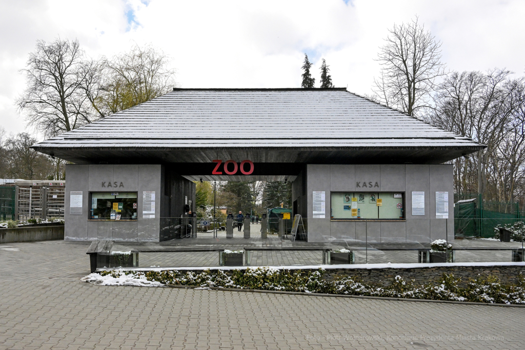 hipopotam, hipopotamki, karłowate, Majchrowski, ZOO, ogród zoologiczny, pawilon, wybieg, 2023, otw  Autor: P. Wojnarowski