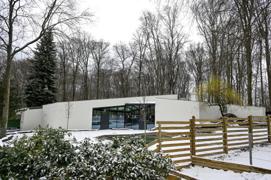 hipopotam, hipopotamki, karłowate, Majchrowski, ZOO, ogród zoologiczny, pawilon, wybieg, 2023, otw