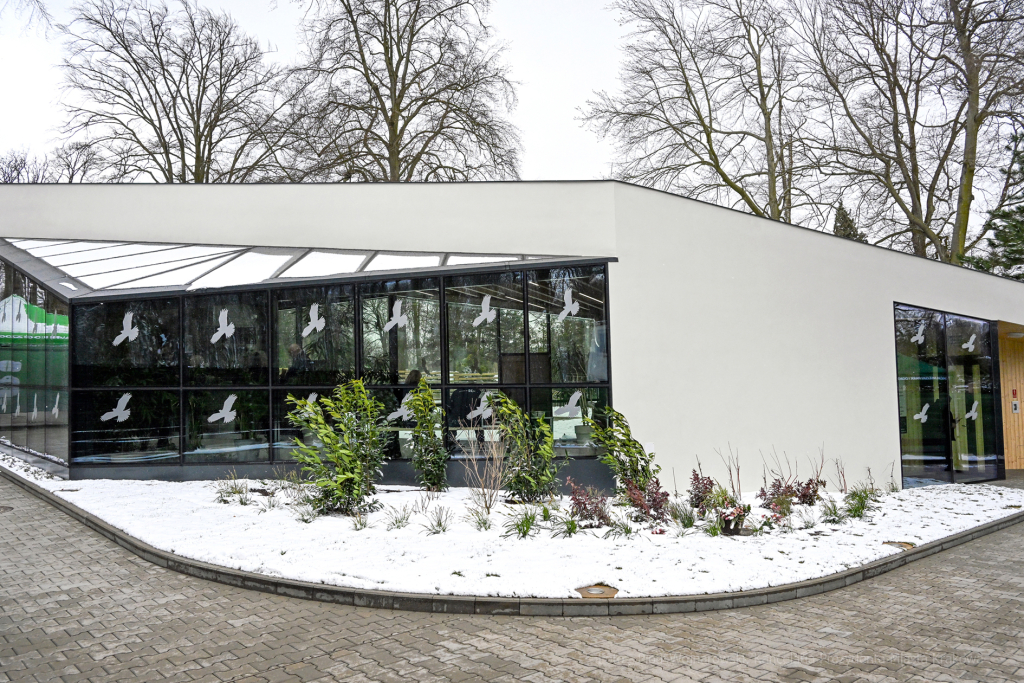 hipopotam, hipopotamki, karłowate, Majchrowski, ZOO, ogród zoologiczny, pawilon, wybieg, 2023, otw  Autor: P. Wojnarowski