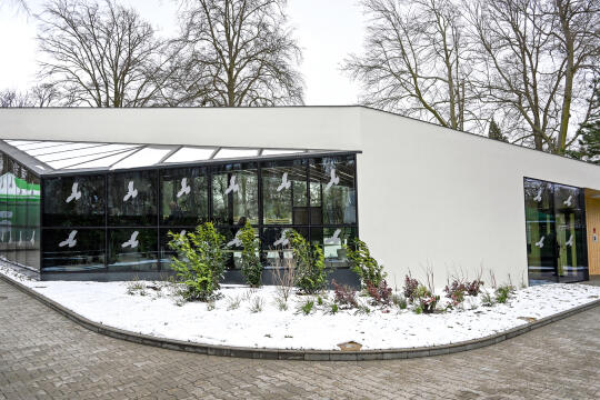 hipopotam, hipopotamki, karłowate, Majchrowski, ZOO, ogród zoologiczny, pawilon, wybieg, 2023, otw