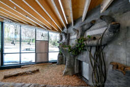 hipopotam, hipopotamki, karłowate, Majchrowski, ZOO, ogród zoologiczny, pawilon, wybieg, 2023, otw