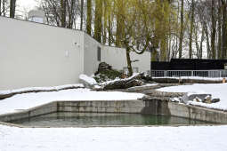 hipopotam, hipopotamki, karłowate, Majchrowski, ZOO, ogród zoologiczny, pawilon, wybieg, 2023, otw