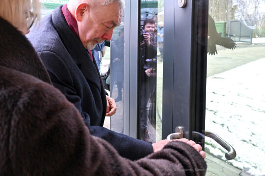 hipopotam, hipopotamki, karłowate, Majchrowski, ZOO, ogród zoologiczny, pawilon, wybieg, 2023, otw