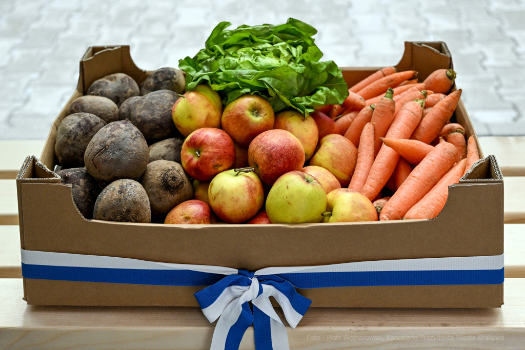 hipopotam, hipopotamki, karłowate, Majchrowski, ZOO, ogród zoologiczny, pawilon, wybieg, 2023, otw  Autor: P. Wojnarowski