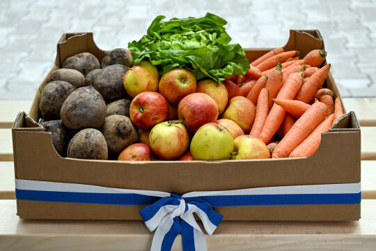 hipopotam, hipopotamki, karłowate, Majchrowski, ZOO, ogród zoologiczny, pawilon, wybieg, 2023, otw