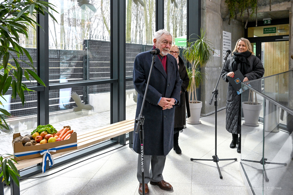 hipopotam, hipopotamki, karłowate, Majchrowski, ZOO, ogród zoologiczny, pawilon, wybieg, 2023, otw  Autor: P. Wojnarowski